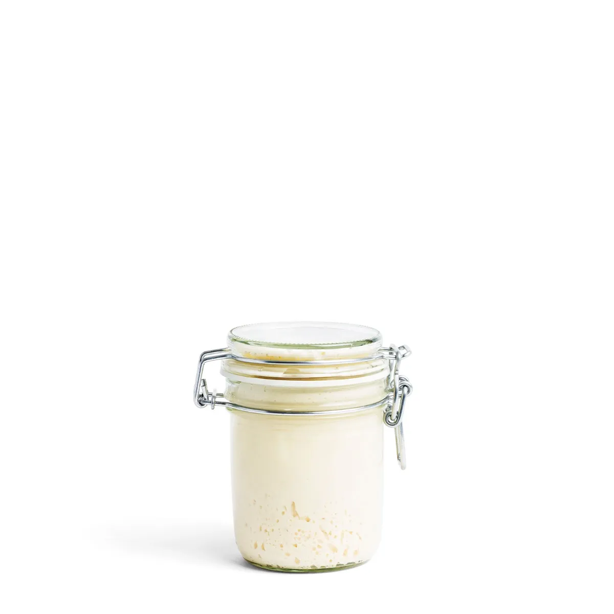 Sourdough Starter