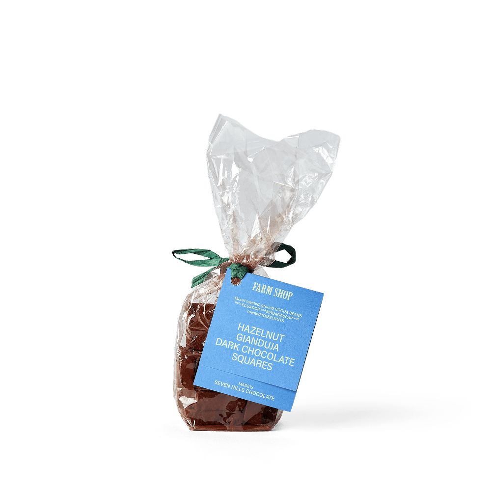 Hazelnut Gianduja Chocolate Squares