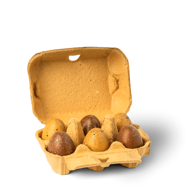 Speckled Chocolate Egg Carton