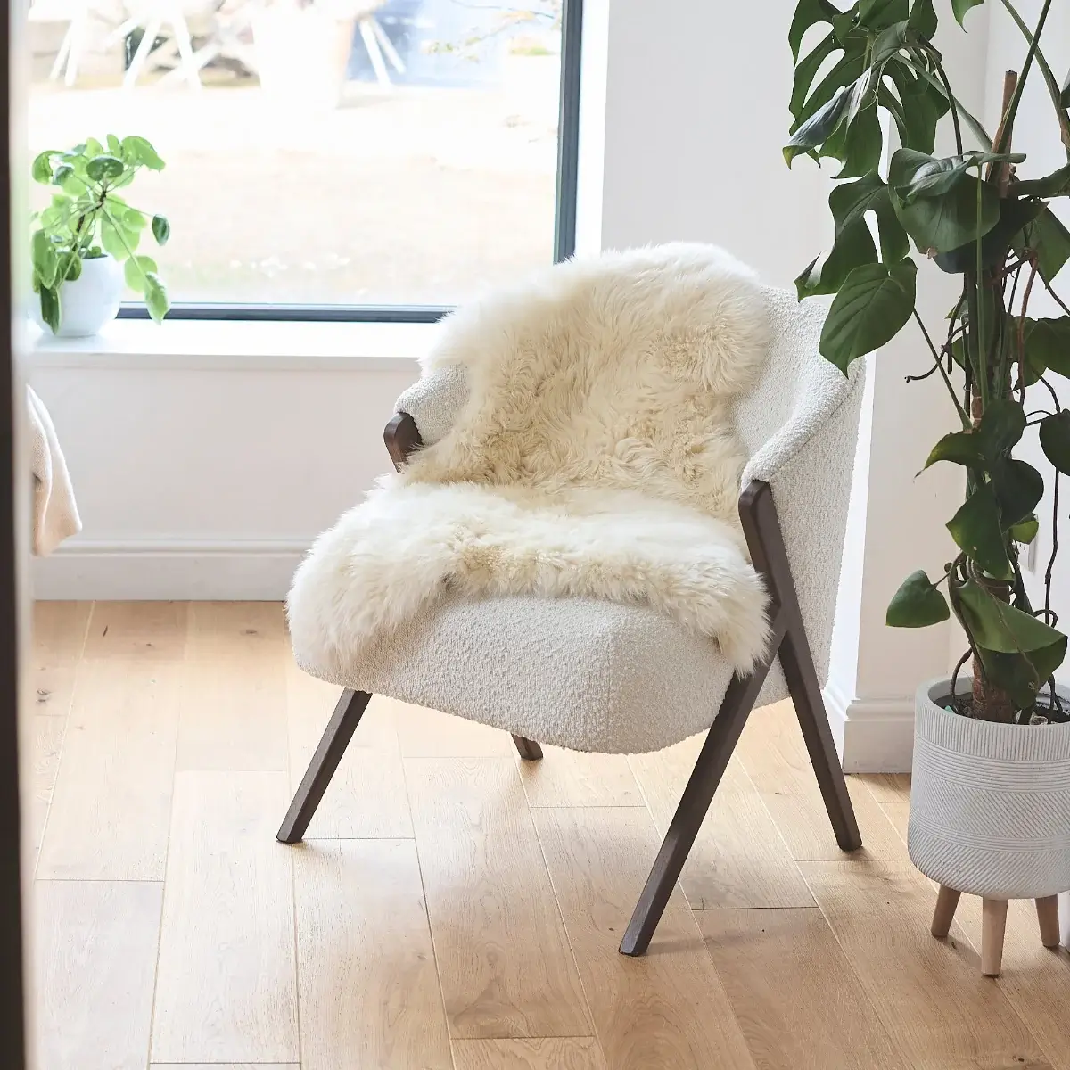 Luxury Single Sheepskin Rug