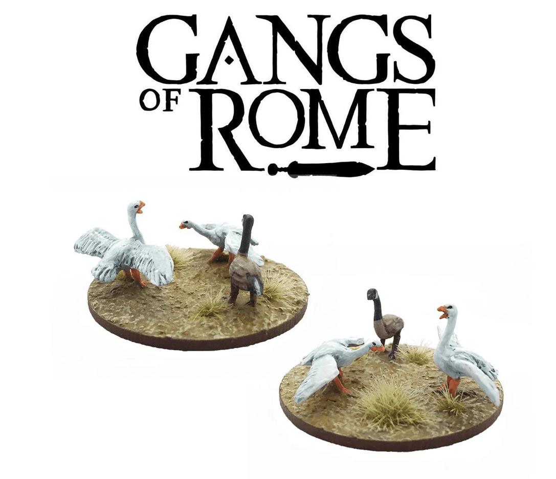 Geese