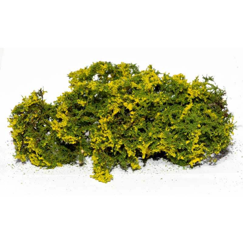 Flowering Shrubs