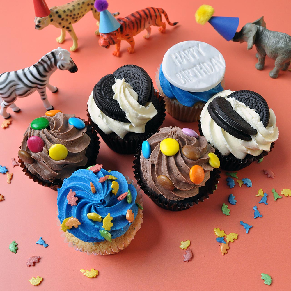 Happy Birthday Boy Cupcake Selection