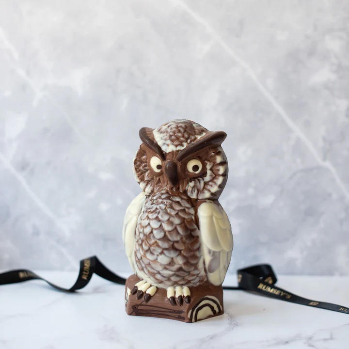 Chocolate Owl