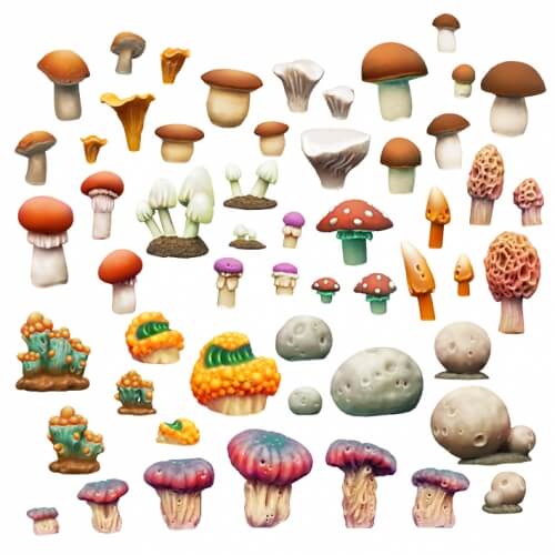 108 Mushrooms set